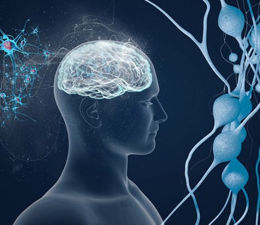 Multiple Skleroz (MS)