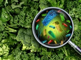 Besin Zehirlenmeleri ve Yaz İshalleri